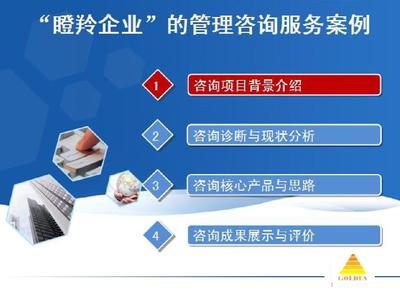瞪羚企業(yè)咨詢案例解析 2014年企業(yè)管理優(yōu)化實踐