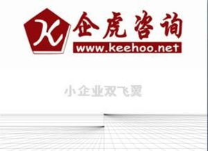 小企業(yè)管理咨詢實務(wù) 市場部與人力資源部的定價、供應(yīng)商與視覺信息咨詢服務(wù)構(gòu)建指南